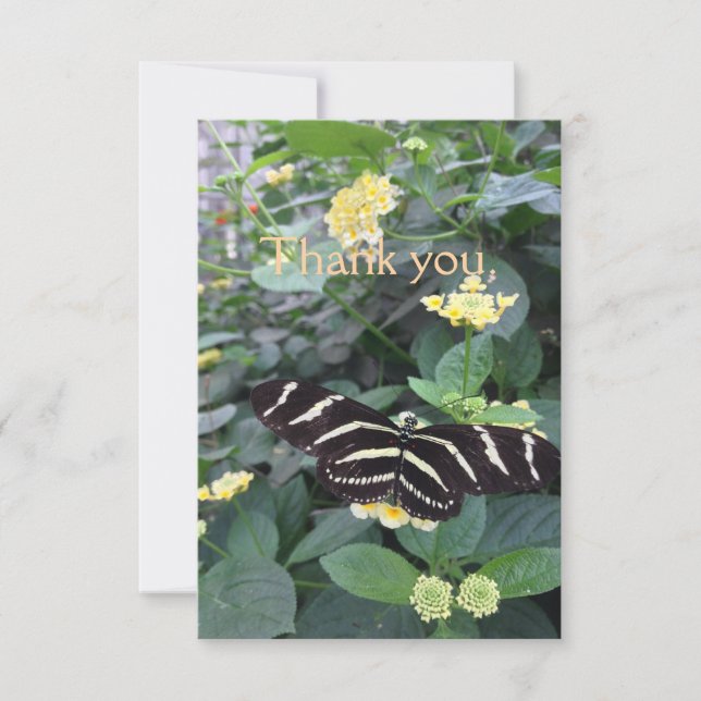 Remerciements Carte de remerciement Zebra Longwing (Devant)