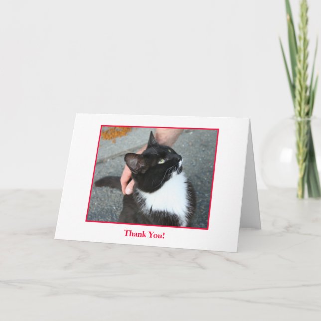 Remerciements Carte de remerciements, blanc à l'intérieur (Devant)