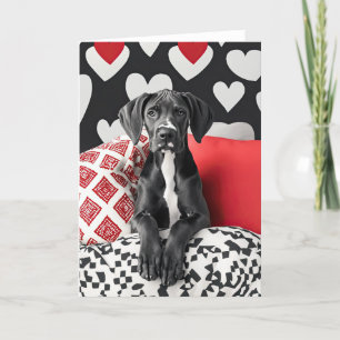 Remerciements Carte de Saint-Valentin Great Dane Puppy
