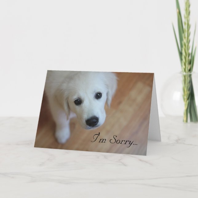 Remerciements Carte de sympathie, je suis désolé pour… (Devant)