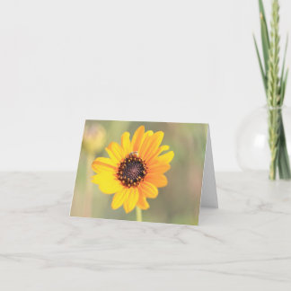 Remerciements Carte de visite Abeille sur Coreopsis