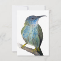 Carte de vœux au colibri teinté de bleu dessinée à
