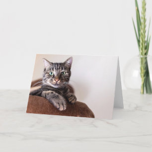 Remerciements Carte de vœux avec chat tabby gris se prélassant s