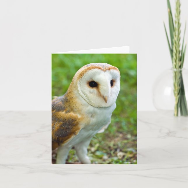 Remerciements Carte de voeux Barn Owl (Devant)