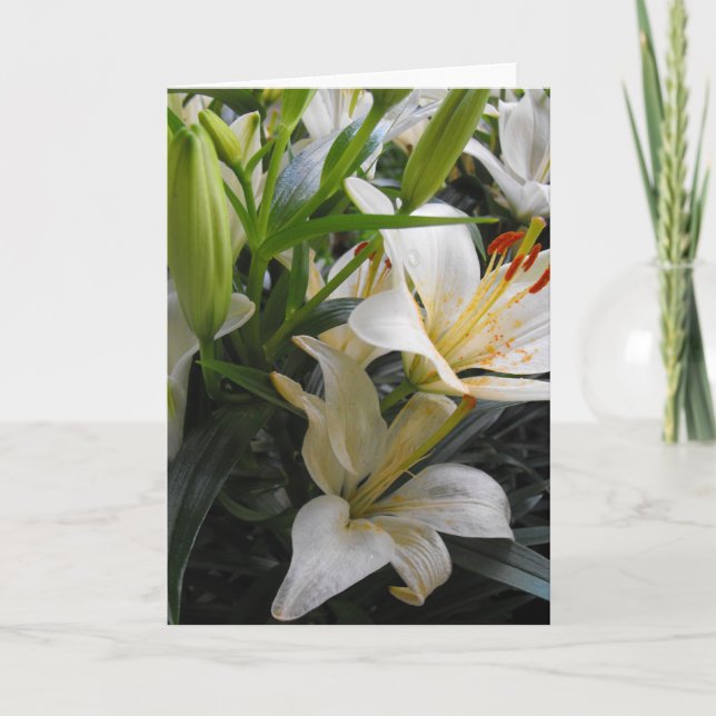 Remerciements Carte de voeux blanche à fleurs de lis (Devant)