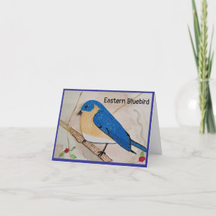 Remerciements Carte de voeux blanche de l'Est Bluebird