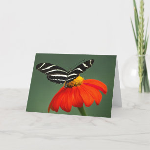 Remerciements Carte de voeux blanche pour papillon Zebra Longwin