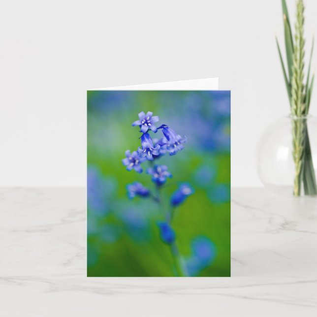 Remerciements Carte de voeux Bluebell flower (Devant)