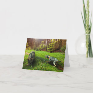 Remerciements Carte de voeux Catahoula et Wild Hog
