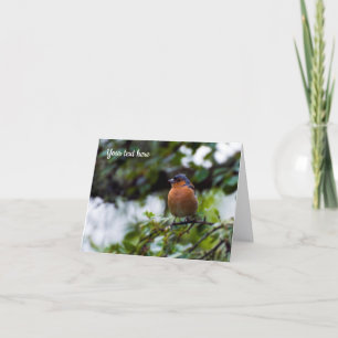 Remerciements Carte de voeux Chaffinch bird
