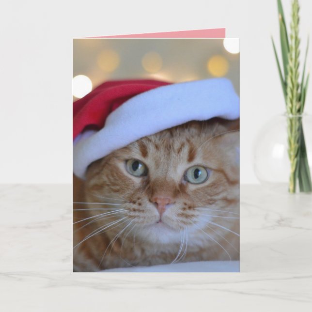 REMERCIEMENTS CARTE DE VŒUX CHAT ROUX NOËL MIGNON (Devant)
