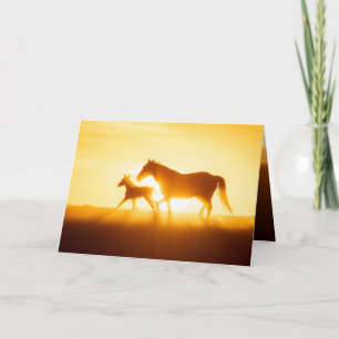 Remerciements Carte de vœux Cheval sauvage - Espoir