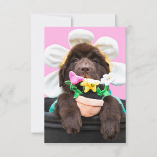 Remerciements Carte de vœux chiot dans un pot de fleurs 2
