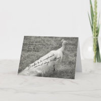 Carte de voeux COCO FAN