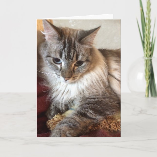 Remerciements Carte de voeux de chat (Devant)