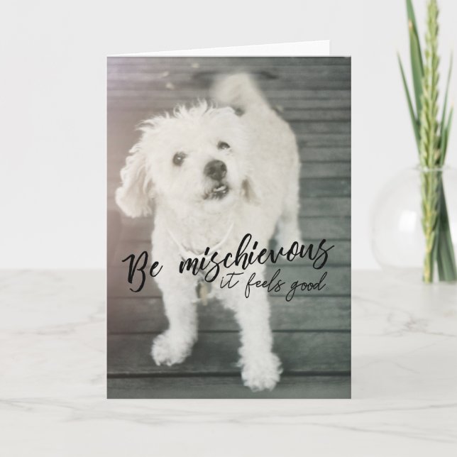 Remerciements Carte de voeux de CHIEN THUMPER (Devant)