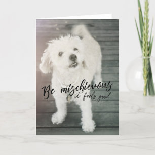Remerciements Carte de voeux de CHIEN THUMPER