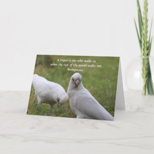 Remerciements Carte de vœux de citation d'amitié de Corella