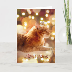Remerciements Carte de vœux de fêtes avec un chaton paisible et