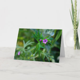 Remerciements Carte de voeux de Mallow Musk Violet en fleurs