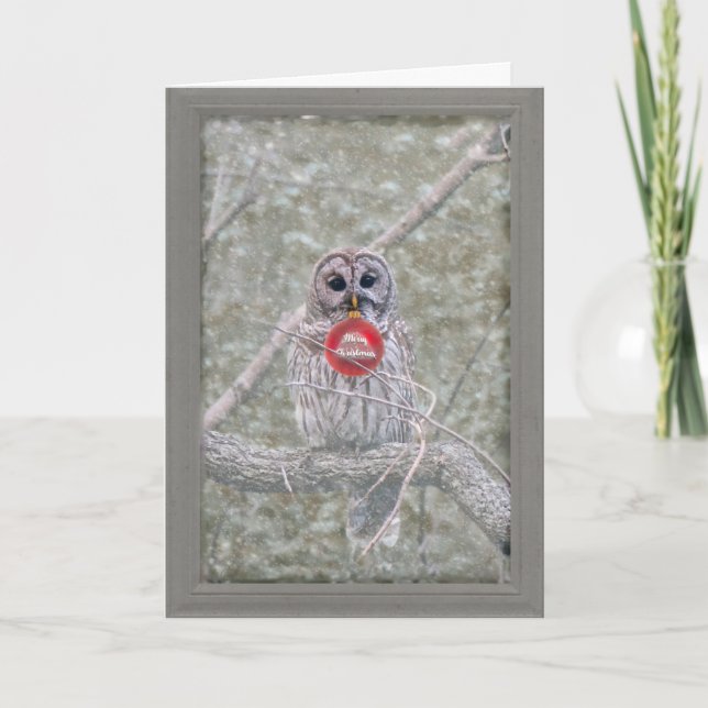 Remerciements Carte de voeux de Noël de la Chouette barrée (Devant)