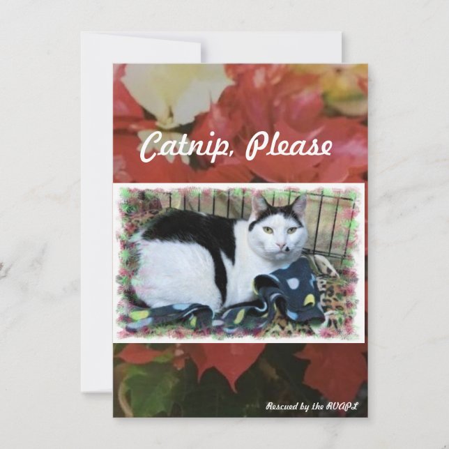 Remerciements Carte de vœux de Noël pour chat sauvé (Devant)