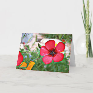Remerciements Carte de voeux Fleur sauvage rouge