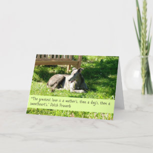 Remerciements Carte de voeux Greyhound