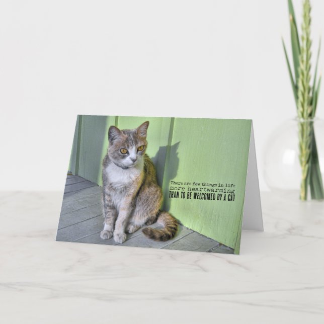Remerciements Carte de voeux KEY WEST CAT (Devant)