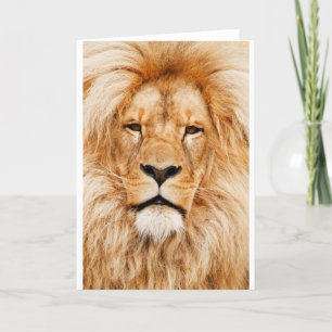 Remerciements Carte de voeux Lion
