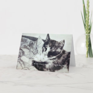 Remerciements Carte de voeux NAP KITTEN