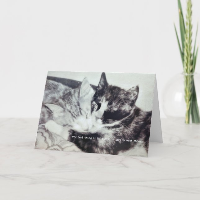 Remerciements Carte de voeux NAP KITTEN (Devant)