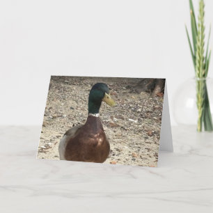 Remerciements Carte de voeux personnalisable "Mallard Duck"