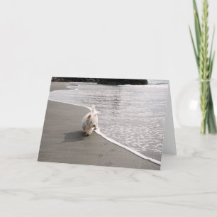 Remerciements Carte de voeux photo Beachcombe Westie