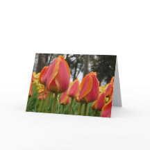 Carte de vœux pliée de photographie d'art fin de T