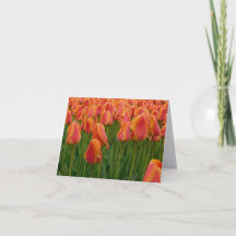 Carte de vœux pliée de photographie d'art raffiné