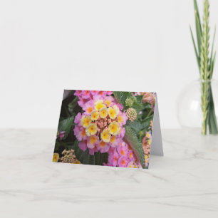 Remerciements Carte de vœux pliée Lantana Fine Art Photography
