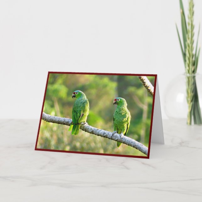Remerciements Carte de voeux pliée Parakeets (Devant)