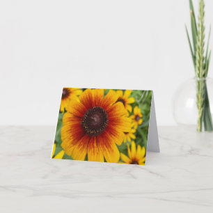 Remerciements Carte de vœux pliée Sunset Daisy Fine Art Photogra