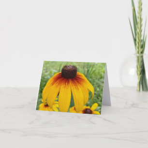 Remerciements Carte de vœux pliée Sunset Daisy Fine Art Photogra