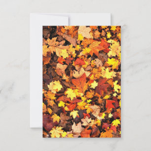 Remerciements Carte de voeux pour les vols d'automne