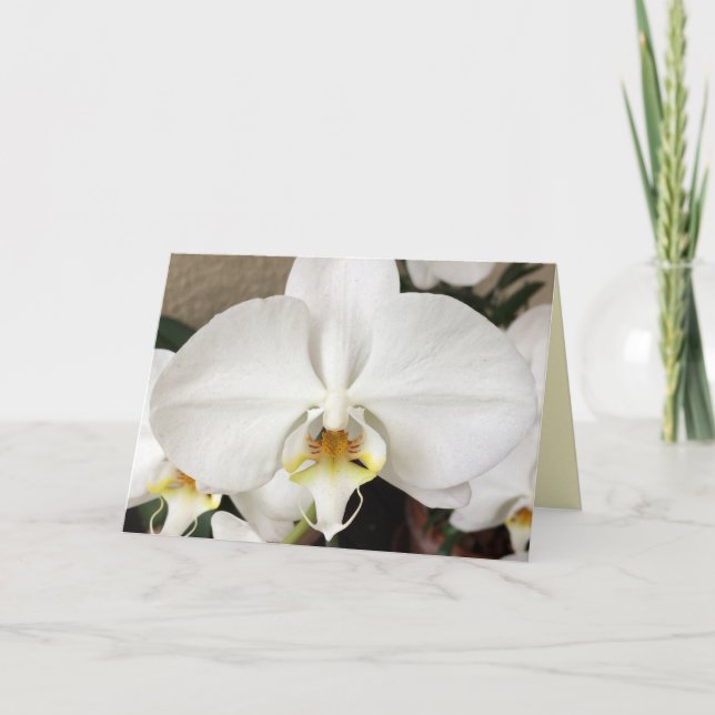 Remerciements Carte de voeux pour orchidée blanche (Devant)