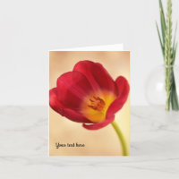 Carte de voeux pour tulipe rose unique