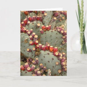 Remerciements Carte de voeux Prickly pear