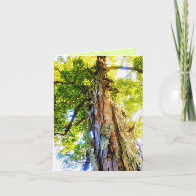 Remerciements Carte de vœux Shagbark Hickory (Devant)