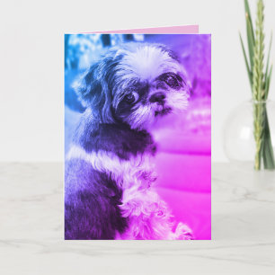 Remerciements Carte de voeux Shih Tzu Girl