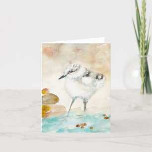 Remerciements Carte de voeux VIDE Plover