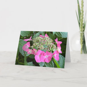 Remerciements Carte de vœux vierge Hydrangea en fleurs