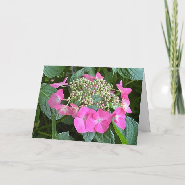 Remerciements Carte de vœux vierge Hydrangea en fleurs (Devant)