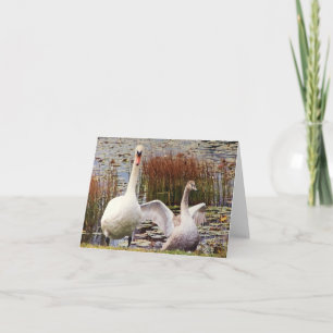 Remerciements Carte de vœux vierge intérieure Mère et bébé cygne